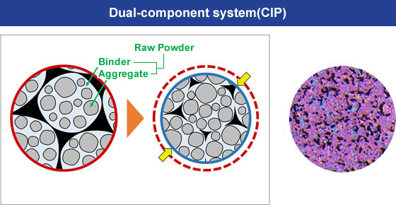 Dual-component system(CIP)